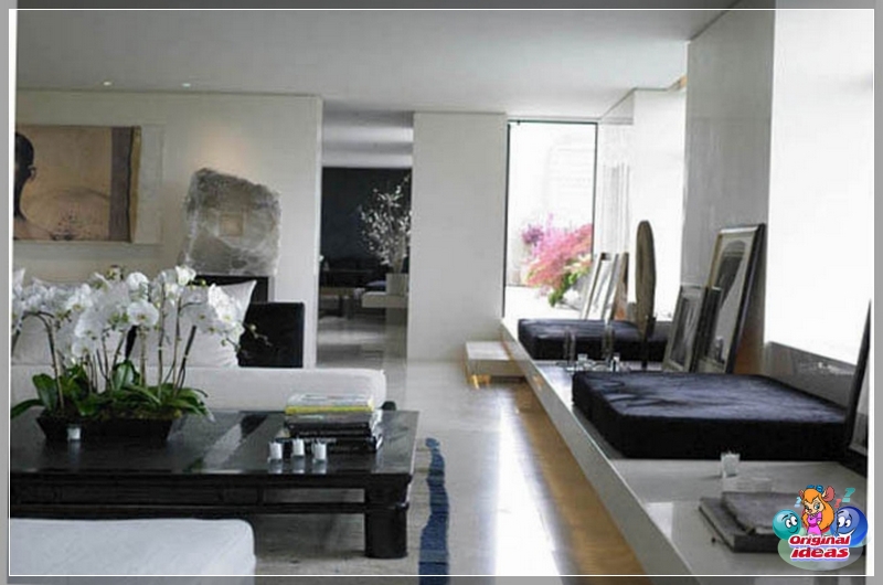 Design Design