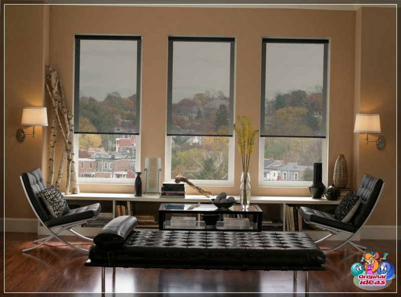 Las persianas enrollables translúcidas no atraerán demasiada atención, pero harán que la oficina sea más adecuada para el trabajo