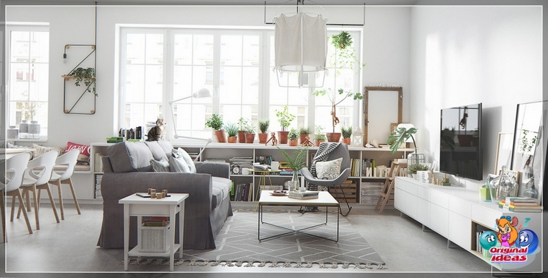 Pflanzen in einem skandinavischen Interieur Pflanzen in einem skandinavischen Interieur