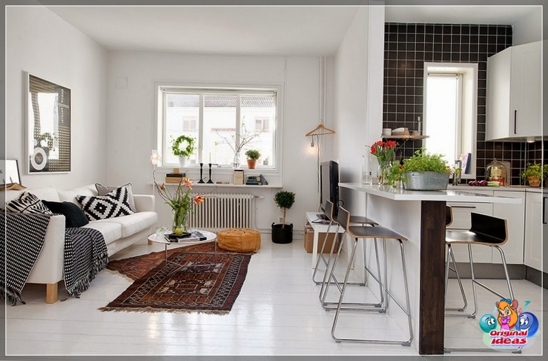Die Kombination von Küche und Wohnzimmer in einer kleinen Wohnung Die Kombination von Küche und Wohnzimmer in einer kleinen Wohnung