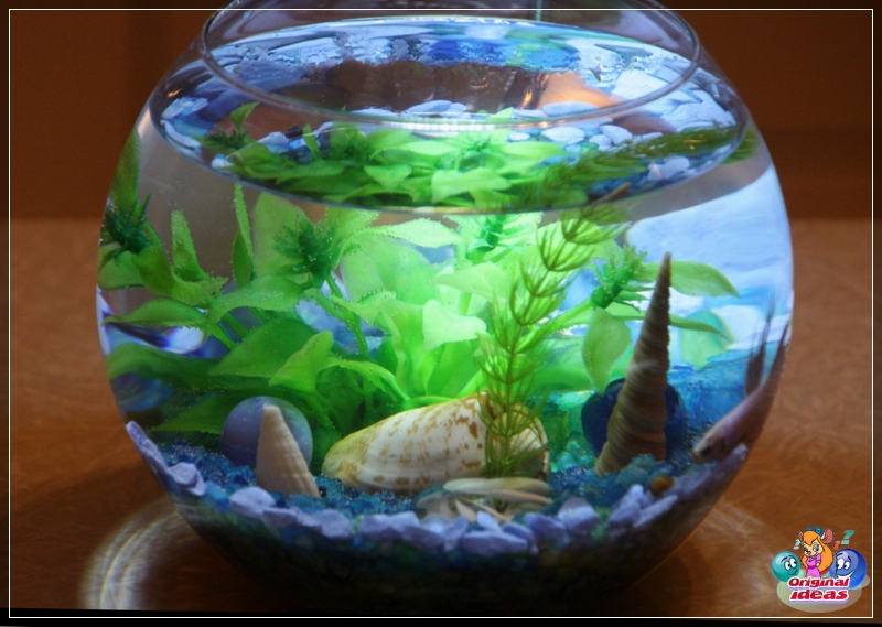 feng shui feng shui