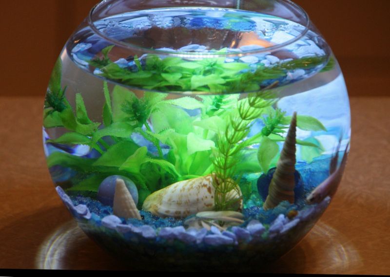 feng shui feng shui