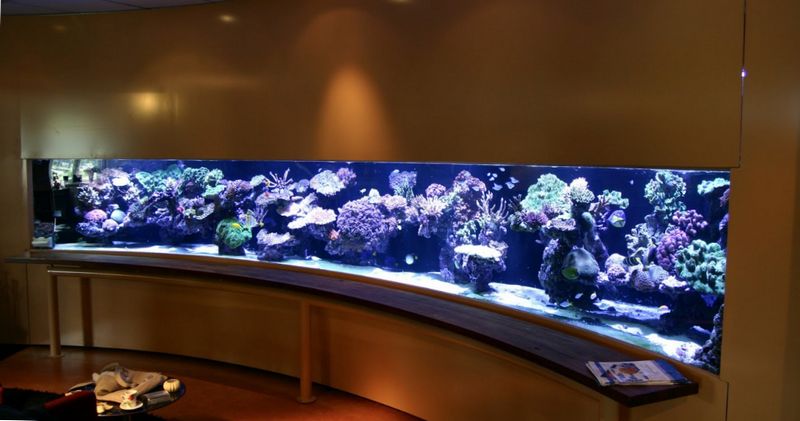 feng shui Enorme acuario