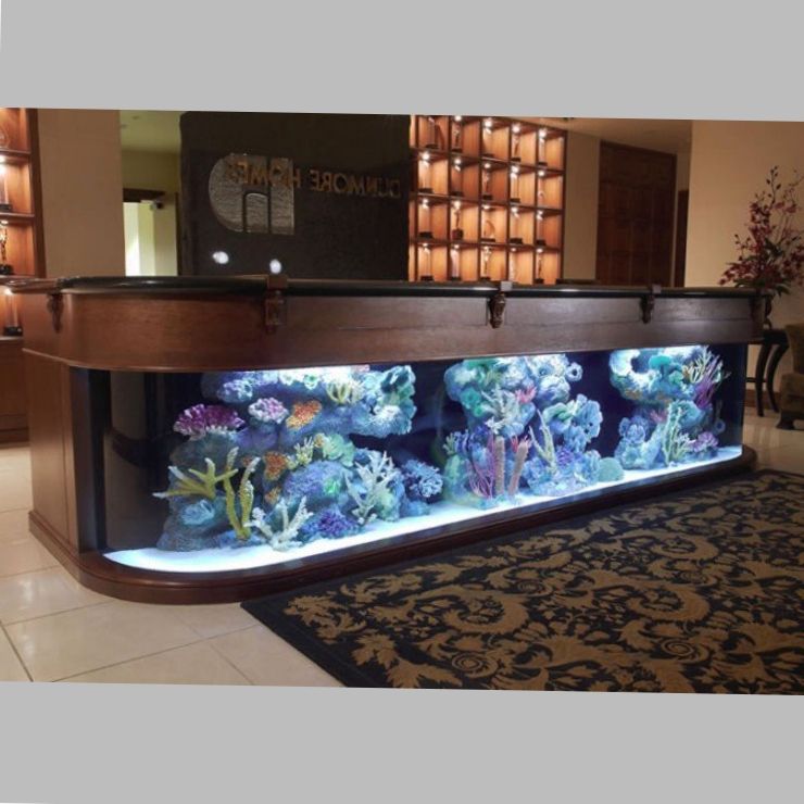 feng shui feng shui