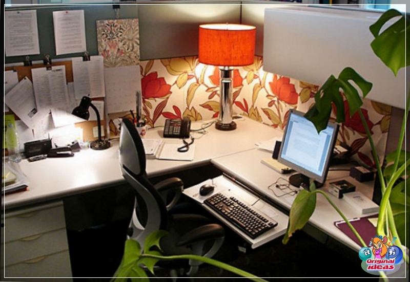 feng shui Acuario con estilo