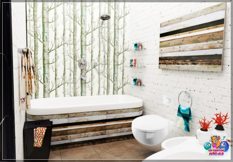 baño baño
