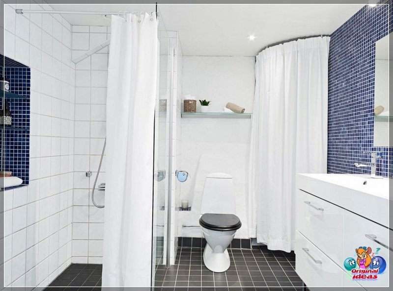 baño baño