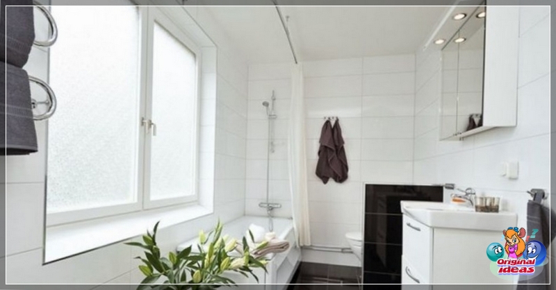 baño baño
