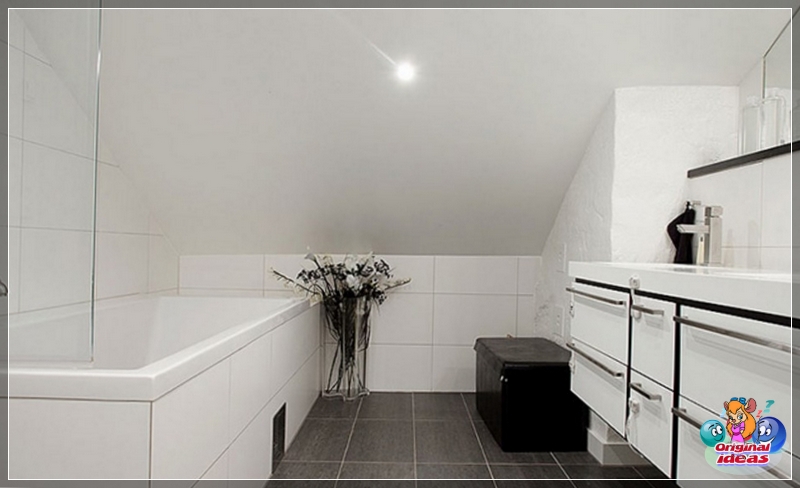 baño baño