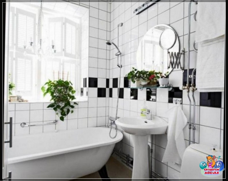 baño baño