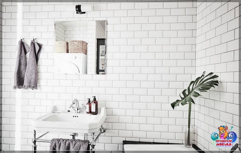 baño baño