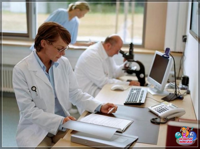 how many Sanitary epidemiological staff