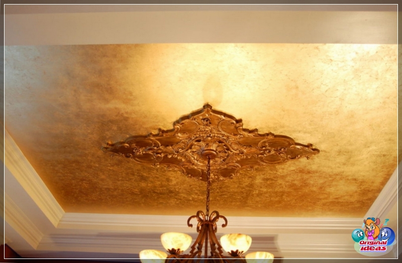 plaster plaster