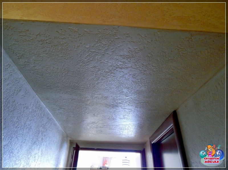 plaster plaster