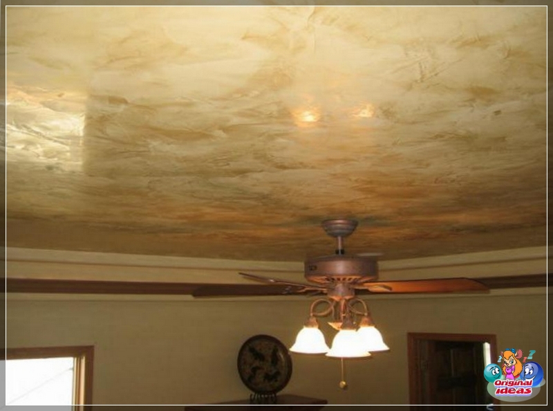 plaster plaster