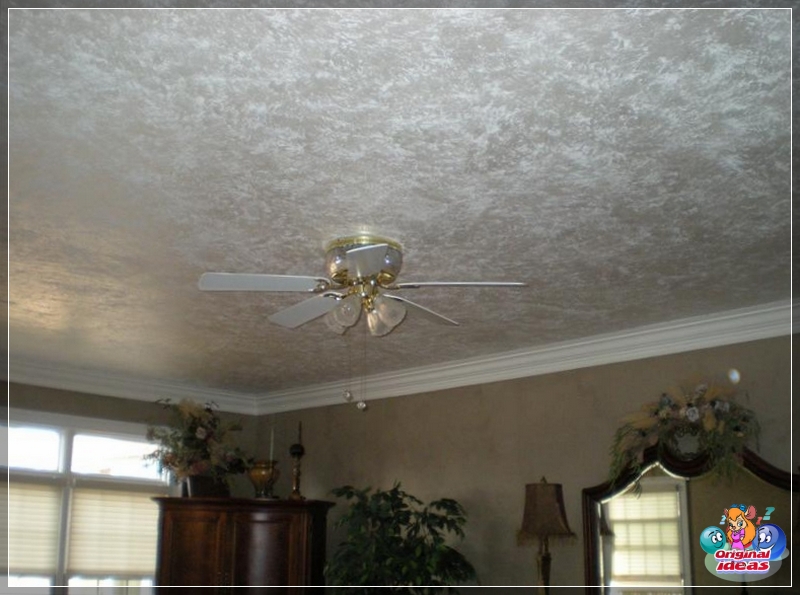 plaster plaster