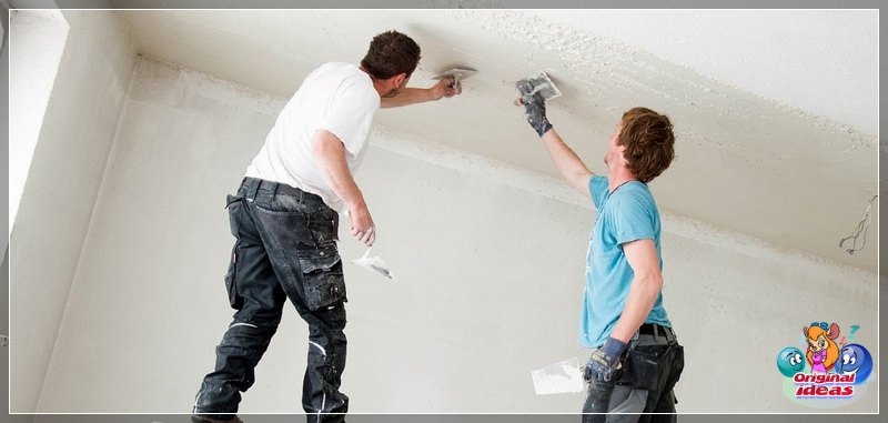 plaster plaster