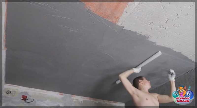 plaster plaster