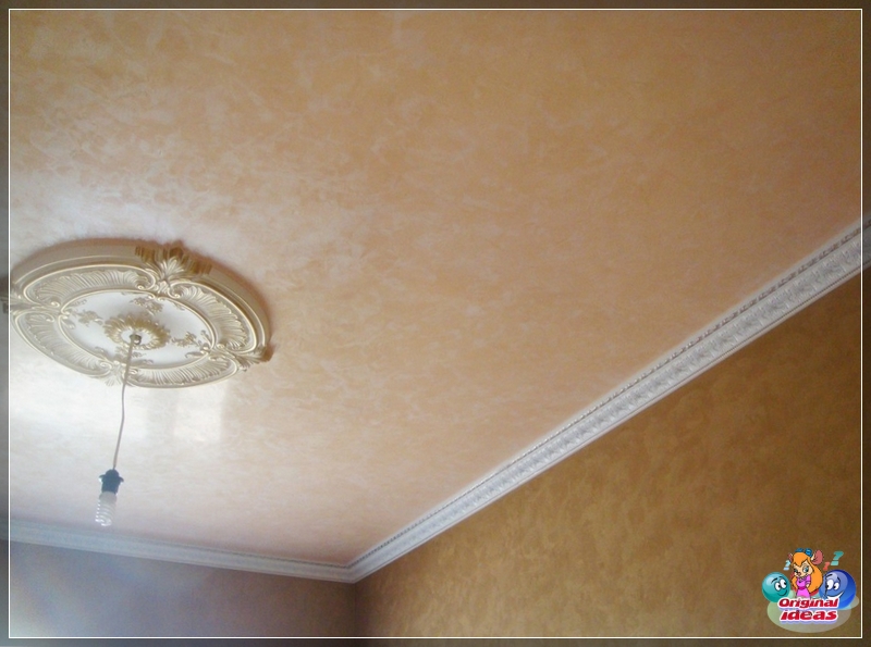 plaster plaster