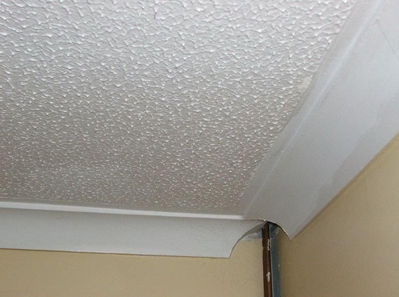 plaster plaster