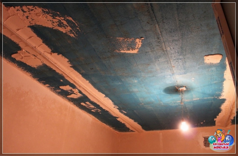 plaster plaster