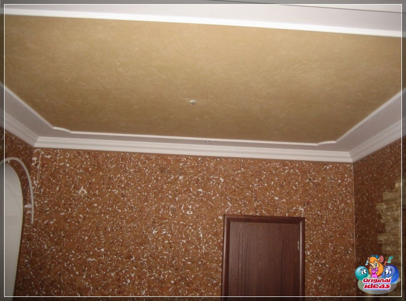 plaster plaster