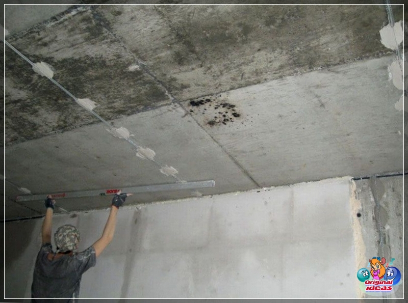 plaster plaster