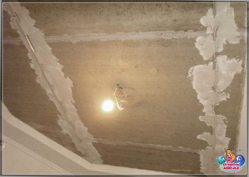 plaster plaster