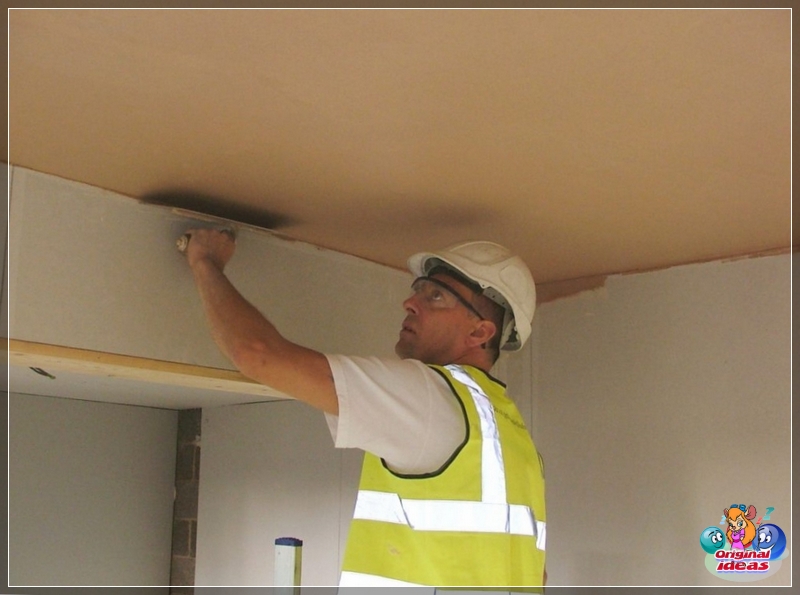 plaster plaster