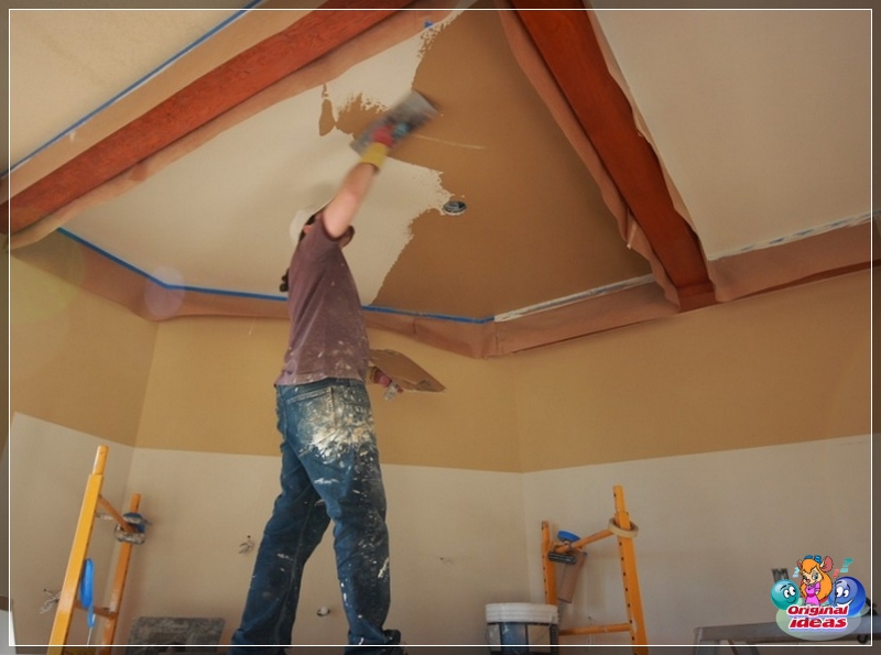 plaster plaster