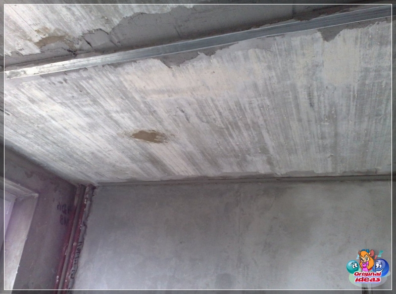 plaster plaster