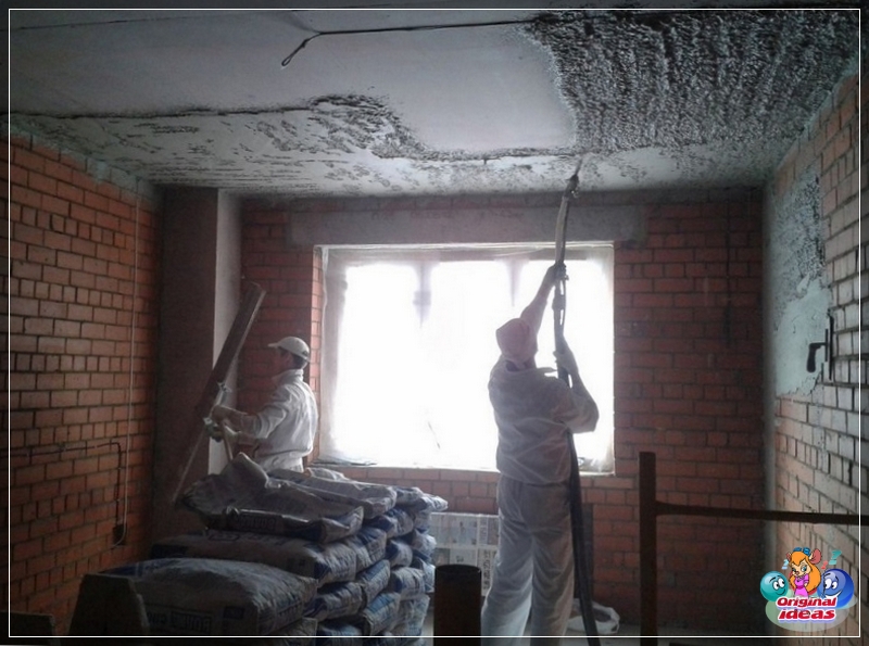 plaster plaster