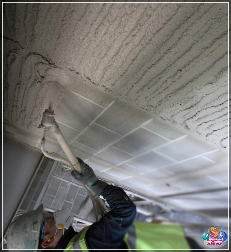 plaster plaster