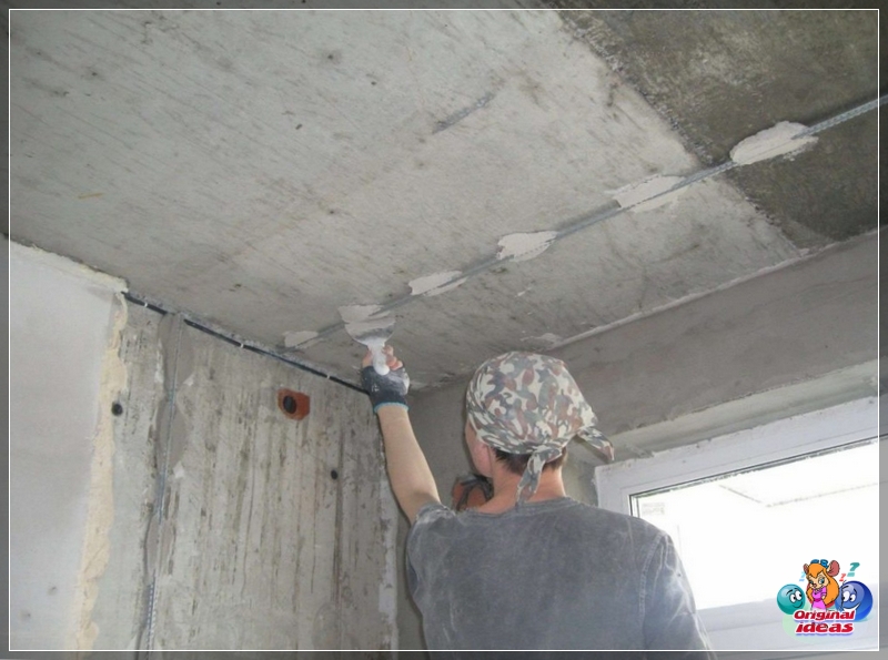 plaster plaster
