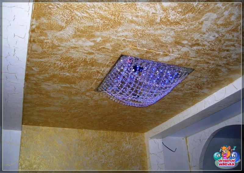 plaster plaster
