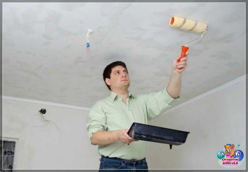 paint paint