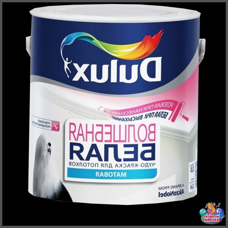 paint paint