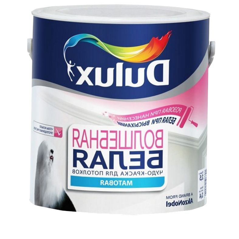 paint paint