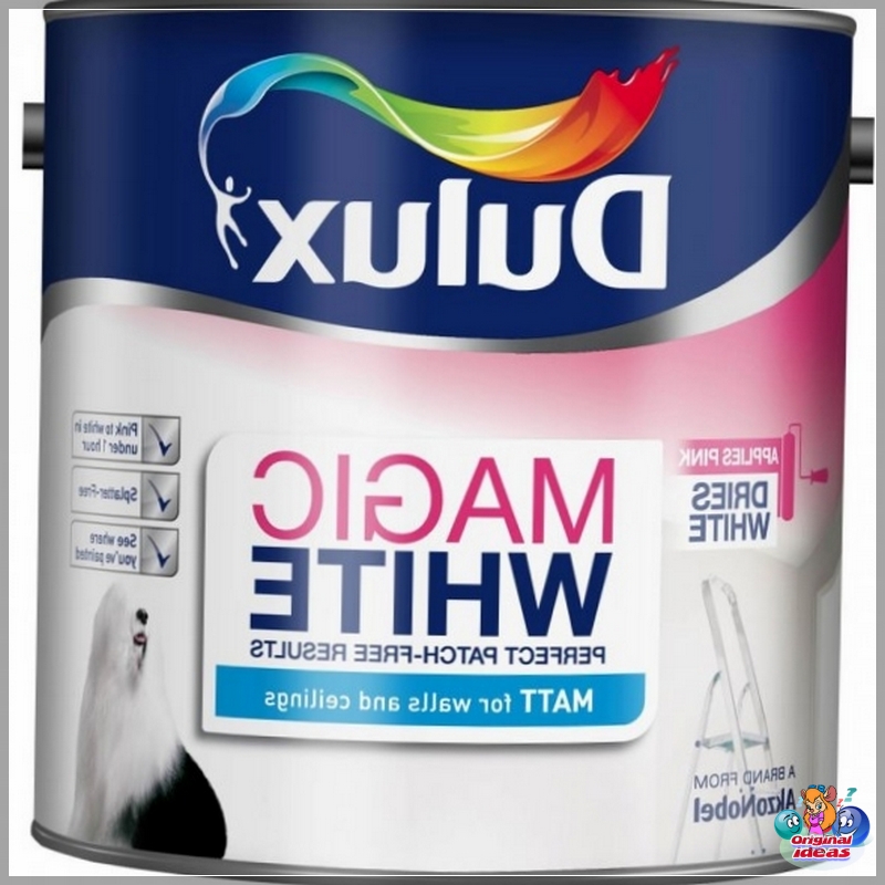 paint paint