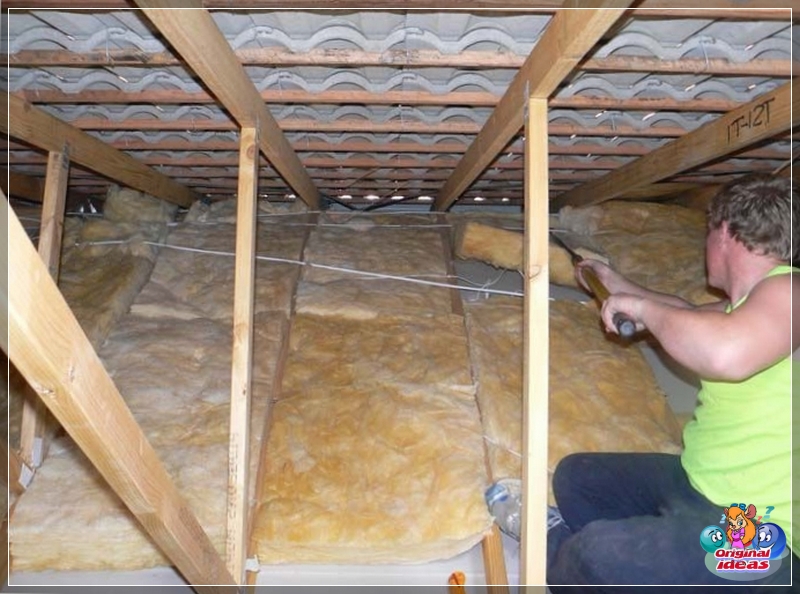 insulation insulation