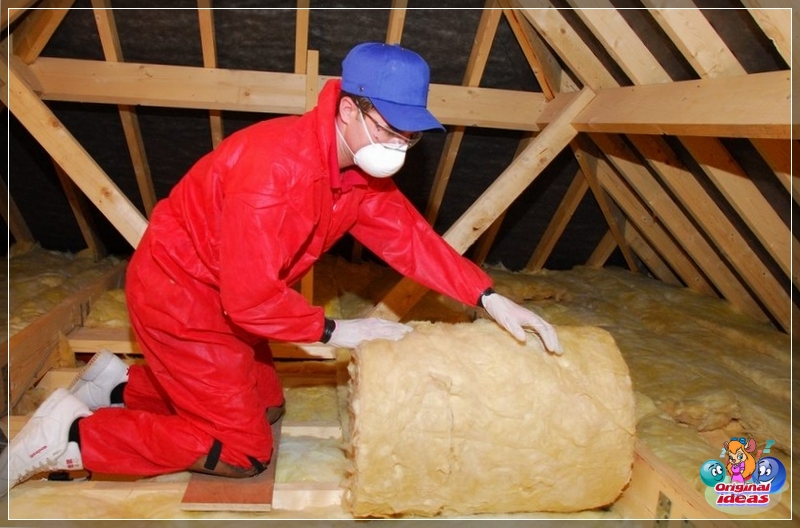 insulation insulation