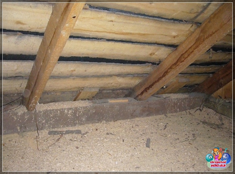 insulation insulation