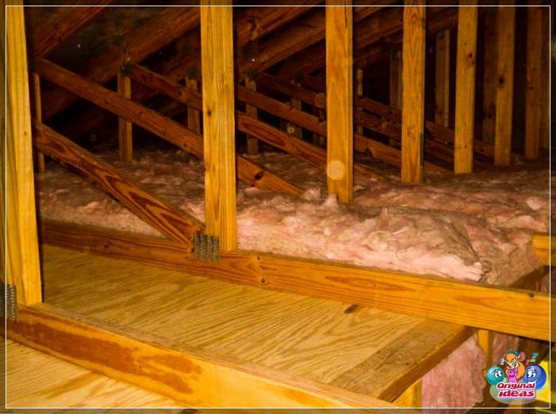 insulation insulation