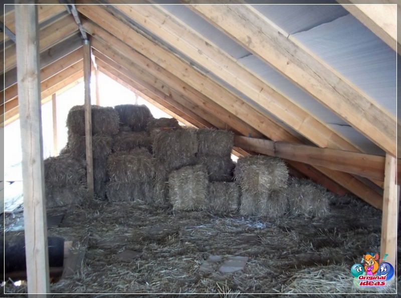 insulation insulation