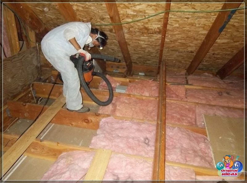 insulation insulation