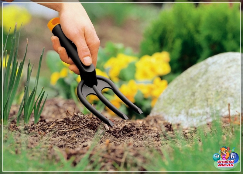 Blumengarten Gartenpflege