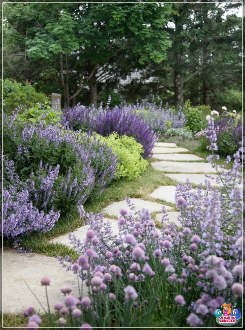 Blumengarten Lavendel Weg