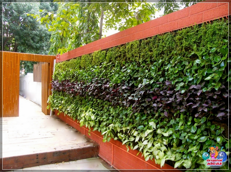 Jardín vertical en diseño de paisaje