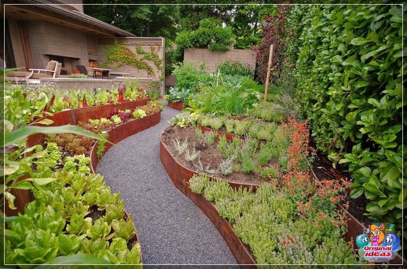 Paisajismo de un huerto con parterres de verduras y hierbas