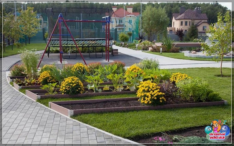 Camas lisas en el fondo de un césped verde